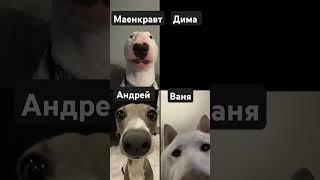 Дима меня зовут кирилл
