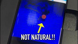 Customer Got SCAMMED!