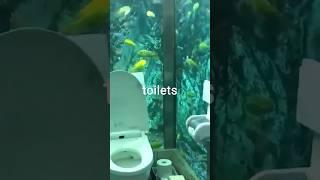 i tried the world's weirdest toilets