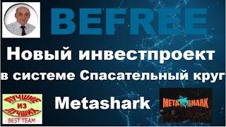 Metashark. Презентация Меташарк.