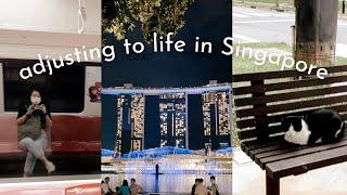 adjusting to life in SG  and a random chat at 10.22pm with a slice of strawberry shortcake | vlog