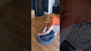 Make a Super Easy Pet Bed from an Old Blanket #pets #diy #doglover