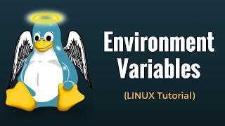 Environment Variables : Linux Tutorial #11