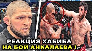 РЕАКЦИЯ Хабиба НА БОЙ Анкалаев - Перейра UFC 313 / Махачев Нурмагомедов Хабиб Физиев - Гейджи полный