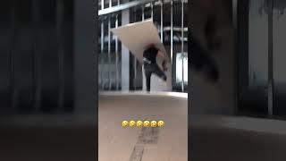 I Feel Attacked! #funny #funnyvideos #construction #carpentry #bluecollar #work