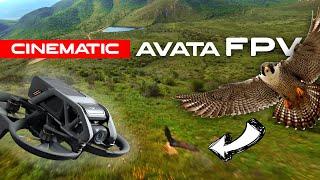 Cinematic DJI Avata FPV hill dive, surfing and falcon! 4K #cinematic #cinematicfpv #fpv #djiavata