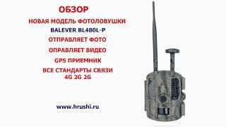 Новая фотоловушка Balever BL480L-P с поддержкой 4G и GPS