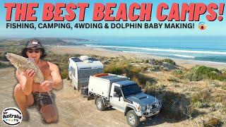 The Best Camps on the Eyre Peninsula South Australia | Coffin Bay 4x4 | Catch and Cook [EP20]