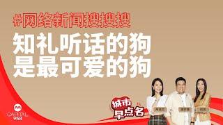 CAPITAL 958 | 网络新闻搜搜搜：知礼听话的狗是最可爱的狗