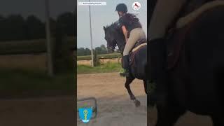 #TeamPiaffEquestrian  Trening, który przynosi rezultaty Autopilot Z - Air Jordan / Pialotta / Pilot