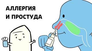 Откуда берутся сопли? | Аллергия, простуда, анимация