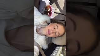 Dasha Dzhakeli XO Short Story Videos! #18 #ramgalityt #dashadzhakeli #xoteam #tiktok #valentinesday