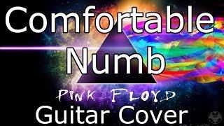 Pink Floyd - Comfortably numb Guitar Cover by Tim (12)