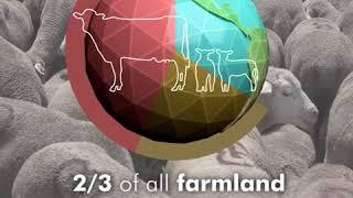 How does the food we eat impact our climate?