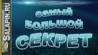 Самый большой рыболовный секрет [salapinru]