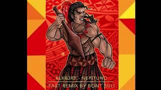 BLKB3RY - NEPITUNO FAST REMIX (BONT SULI) FT DJ MAFI