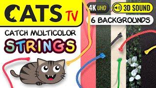 CATS TV - Multicolor Ropes  MULTI Backgrounds  4K  3 HOURS