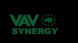 Отзыв о компании VAV Synergy