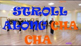 STROLL ALONG CHA CHA  Пробуем станцевать весь танец  Твс соло 2  Созвездие  Омск! Lariva Dance  15 1