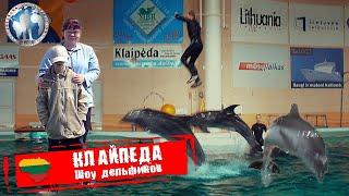 Клайпеда  Литва. Шоу дельфинов. Морской музей Алекс Авантюрист