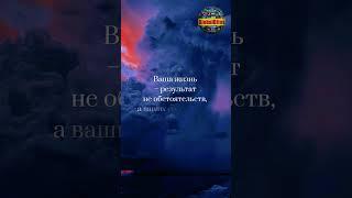Цитата Стивен Кови Афоризмы GlobalBites shorts