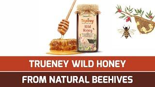 Wild Honey | Trueney | Natures Box | Pure honey | Natural honey | 100 % pure and natural honey