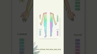 Dermatomes and Hijama #solutions_for_seha_and_soul