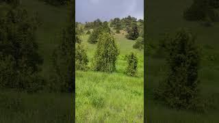 Nature of wonderful