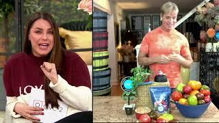 Phillip Watson Designs 4-Pc Heirloom Tomatoes Live Plants on QVC