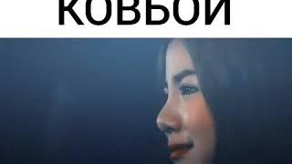 Красавчик ковбой Лакорн  (видео взято из Инстаграм ) Пуш