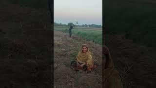 Bagi ki village life #villagefamilyvlogs #bagikivillagelife #villagelife