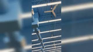 Industrial/Commercial Ceiling Fans in a store