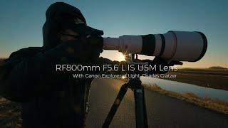 Introducing the Canon RF800mm F5.6 L IS USM with Explorer of Light Charles Glatzer