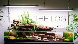 THE LOG - Story of my amazing nature aquarium (Aquascaping tutorial)