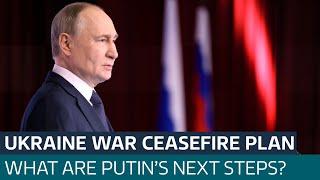 Ukraine-Russia war: Will Putin accept 30-day ceasefire deal?