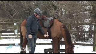 Richard Maxwell's Mounting Tips | Total Confidence | Your Horse