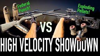 Crazy SUPERSONIC Exploding Airgun Pellets VS .22 LR Self Defense Rounds!
