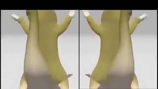 Dancing Lizard Meme