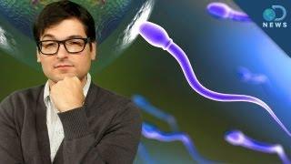 Sperm is the New Superfood