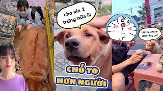 Các Video Hay Nhất Của Trần Vy Vy Phần 4 - #tranvyvy