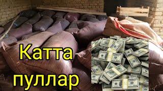 Уй шроитида катта пул ишлаш бизнеси