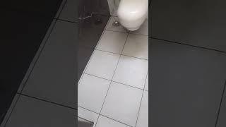 new house toilet title joint myk Latitude epoxy grouting work