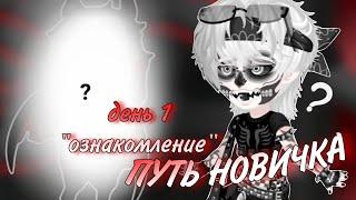 !ПУТЬ НОВИЧКА!|прокачка с НУЛЯ #1 #highrise