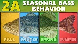 INTERMEDIATE GUIDE to BASS FISHING: 2A - Seasonal Bass Behavior