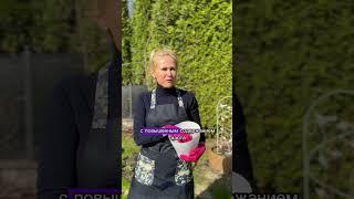 Календарь садовых работ: весна