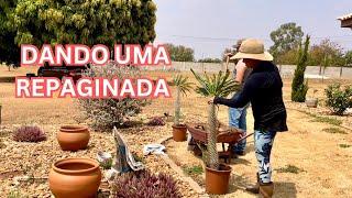 SEM PREGUIÇA /  SE QUER BONITO TEM QUE CUIDAR/ MELHORIAS NO JARDIM/ ROTINA NUBIA VIANA NA CHÁCARA