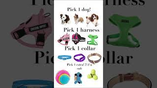 Make an ESSA! #essa #dog #stuffedanimals