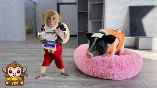Monkey YiYi buys medicine for Ủn Ỉn when he is sick