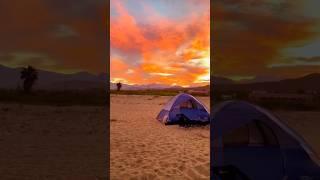 Am I dreaming? #travelmexico #traveldog #camping #campingdog #roadtrip #bajacalifornia
