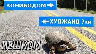 Конибодом то Худжанд (пиёда?)